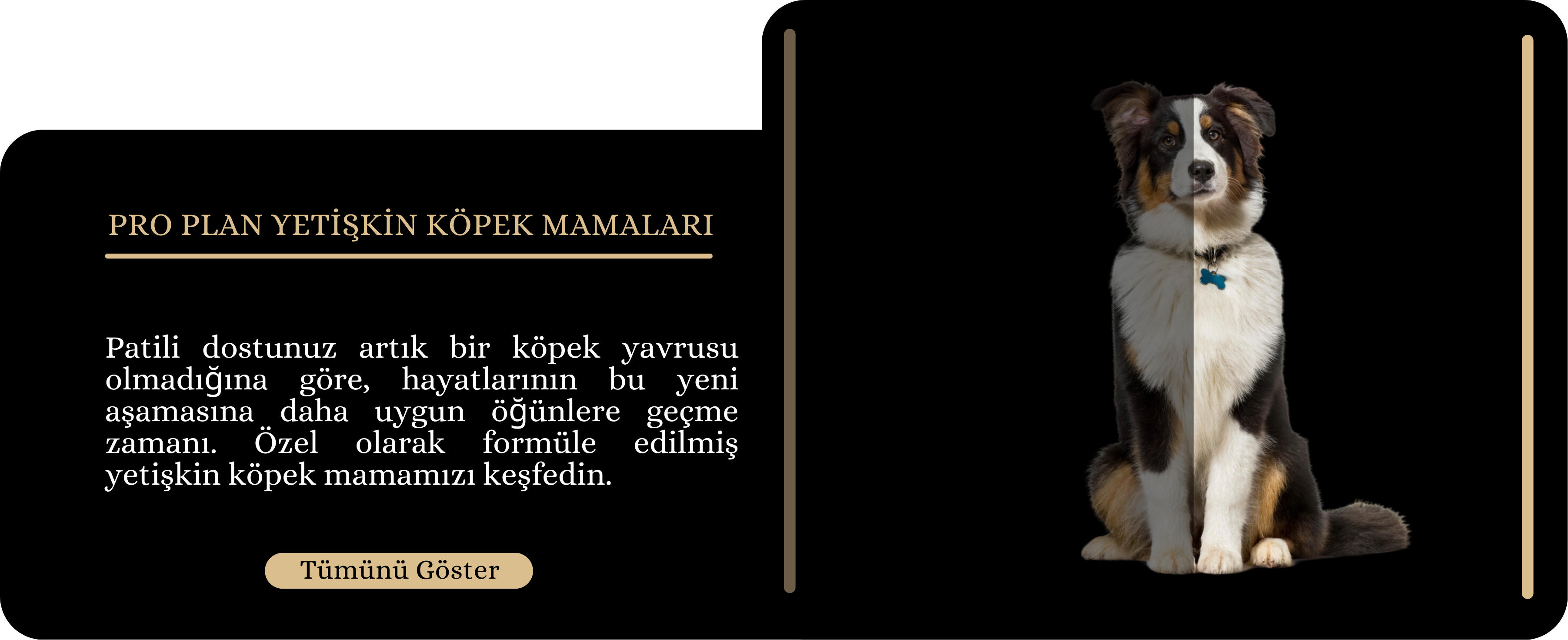 Yetişkin KöpekMamaları