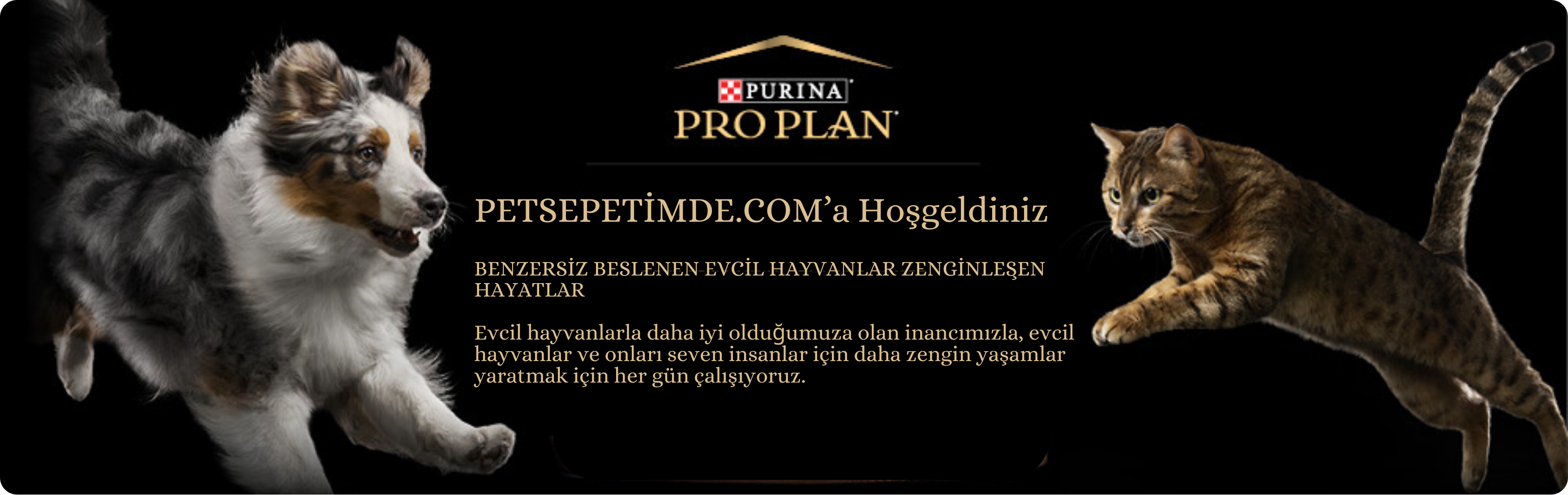 Proplan