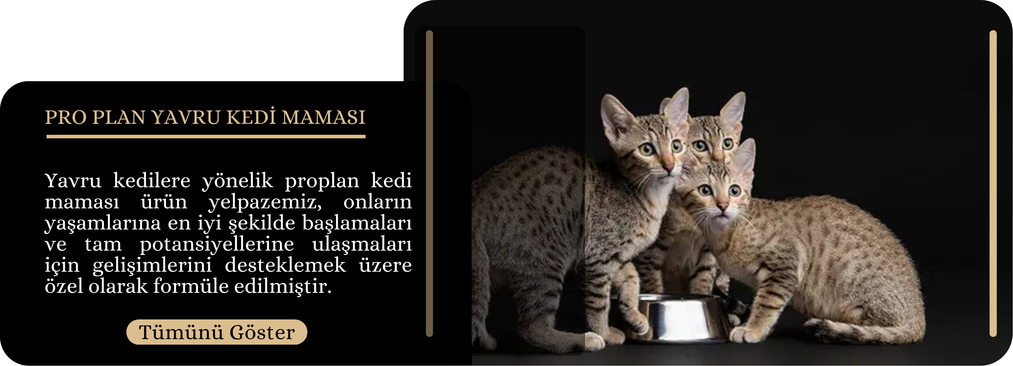 Yavru Kedi Mamaları