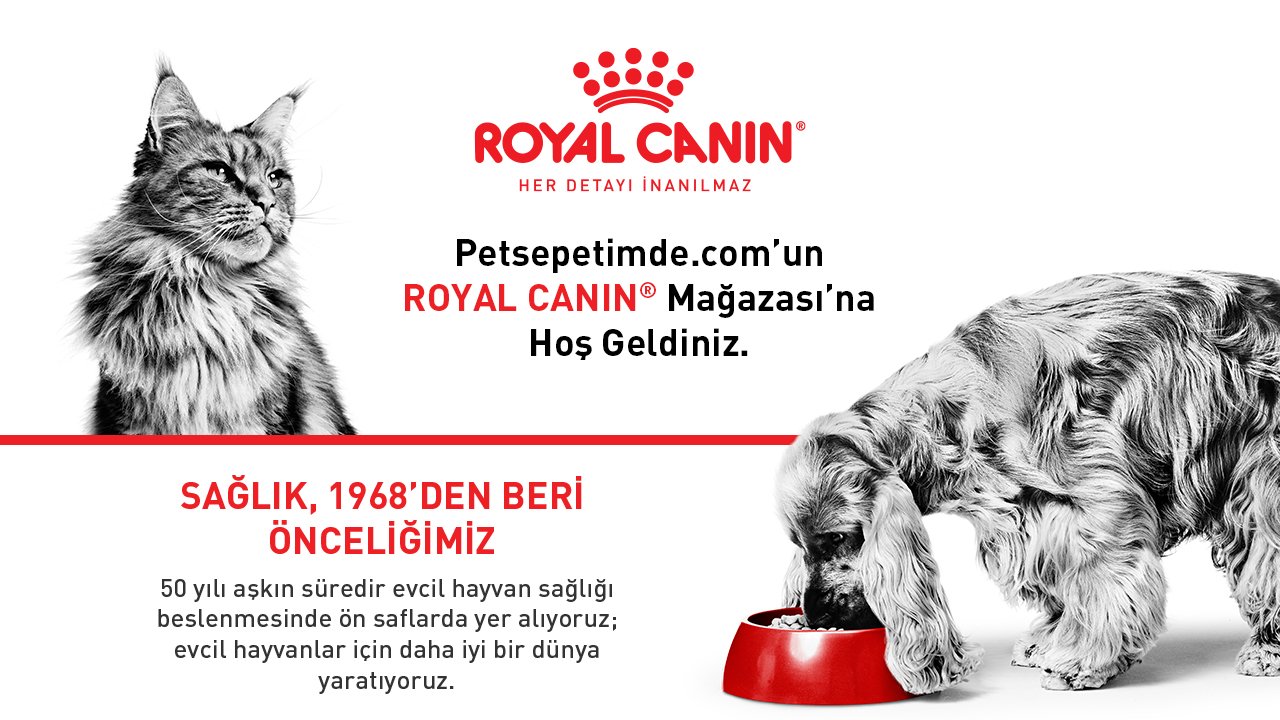 Yetişkin Kedi Mamaları