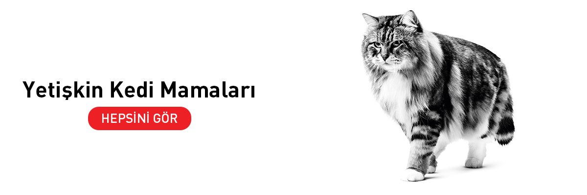 Yetişkin Kedi Mamaları